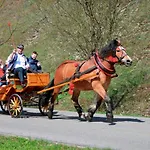 Dom wakacyjny Goralske Drevenice Pieniny *