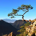 Goralske Drevenice Pieniny *