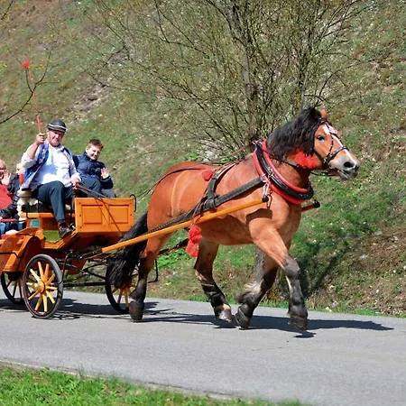 Ferienhaus Goralske Drevenice Pieniny *