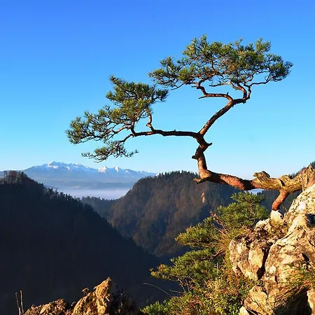 Goralské Drevenice Pieniny *